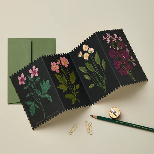 Botanical Concertina Card | Scalloped Edge Fold-Out Card with Floral Illustrations & Forest Green Envelope | UK Printed Stationery