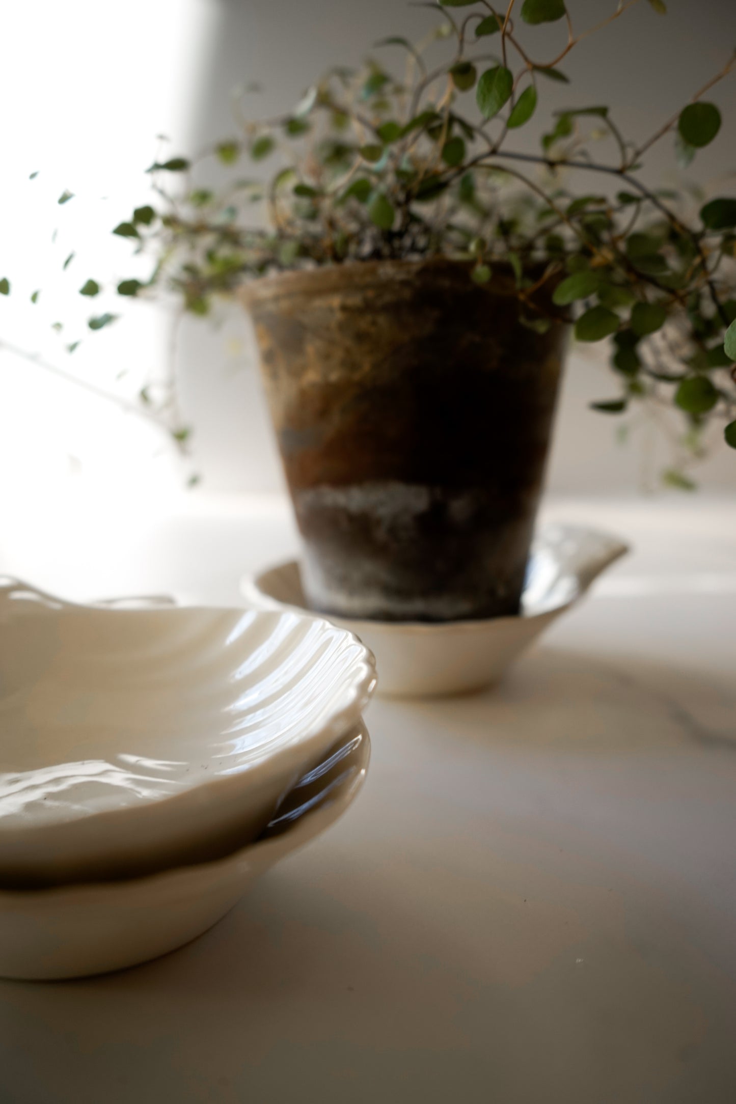 Vintage Ironstone White England Shell Dish