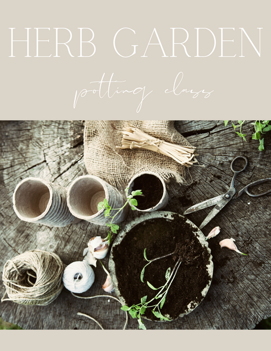 Herb Garden Potting Class
